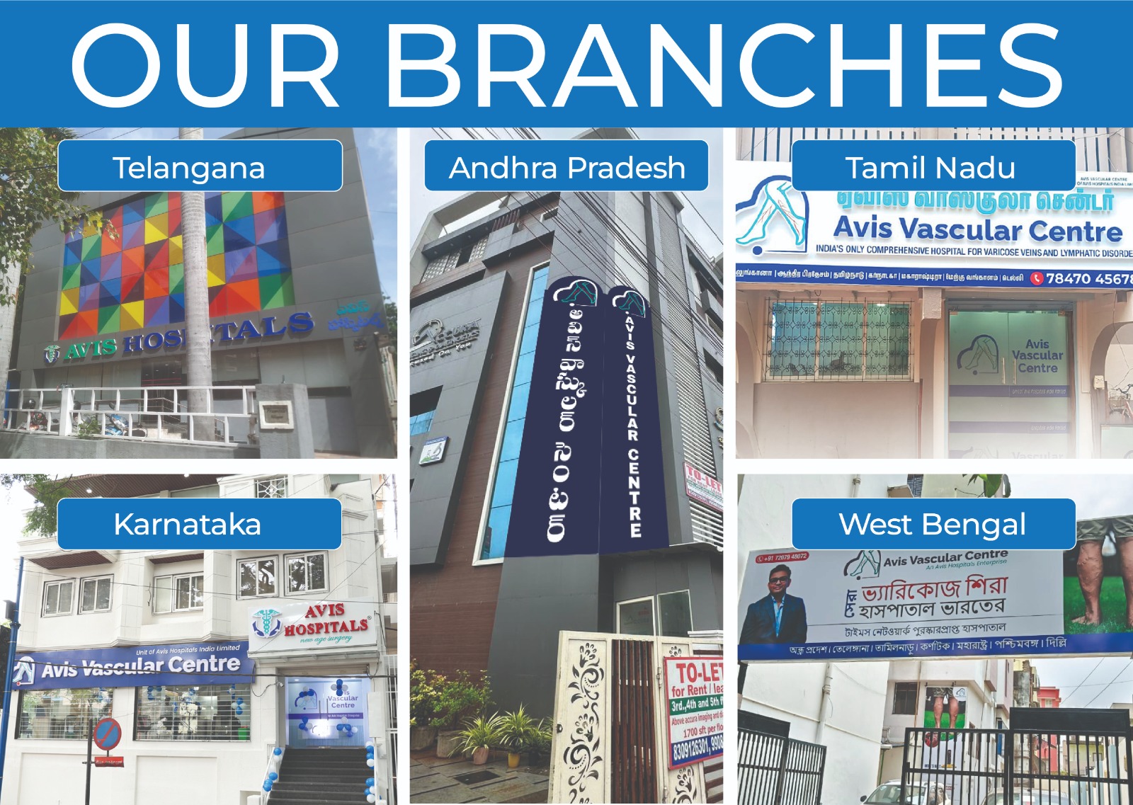 avis branches locations